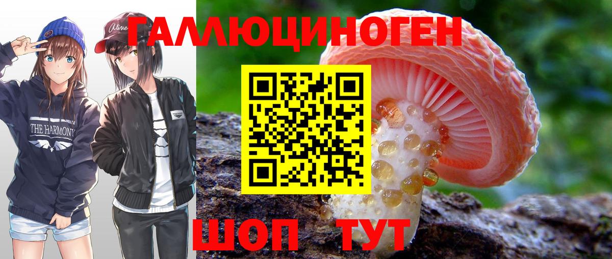 Холмск  Галлюциногенные грибы прущие грибы  Вход с VPN 